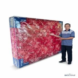 BIGLAND ORIGINAL – GARANSI RESMI 15 TAHUN