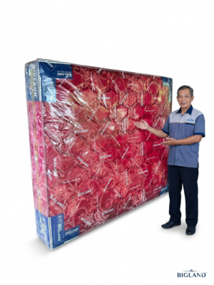 BIGLAND ORIGINAL – GARANSI RESMI 15 TAHUN